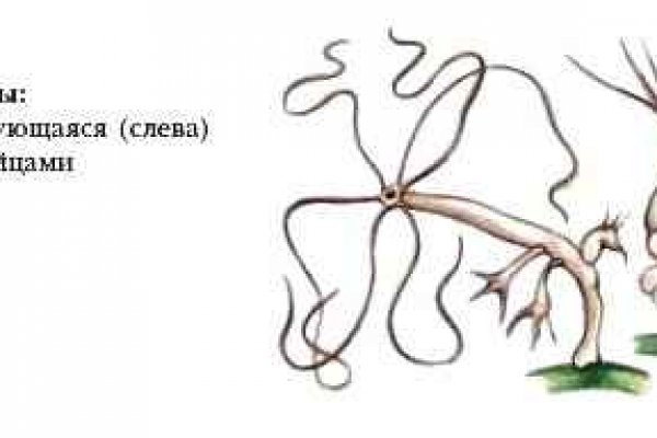 Kra32.at