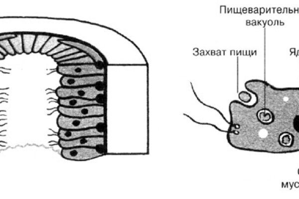 Кракен ссылка работает