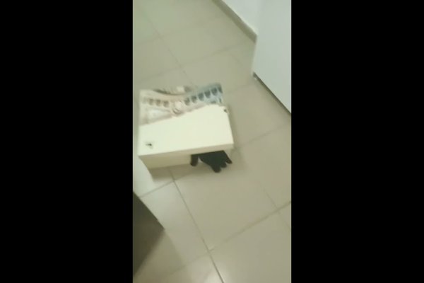 Кракен дарк шоп