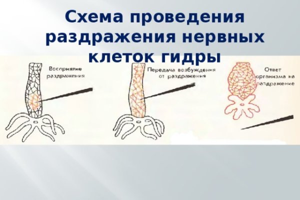2kr kraken