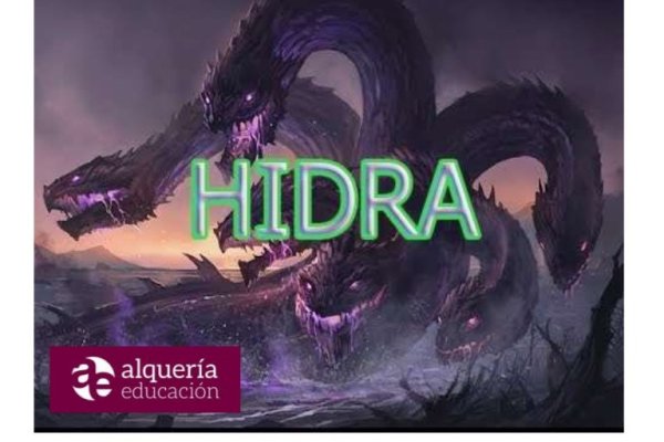 Kraken даркнет рынок ссылка