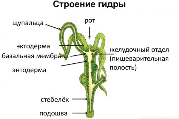 Кракен ссылка тор браузер