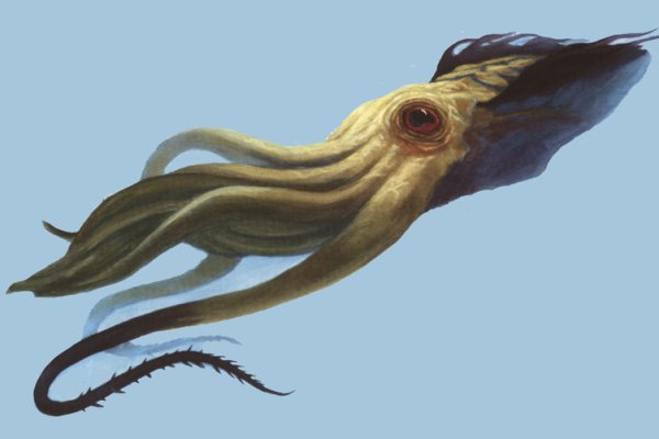 Kraken darknet sliv php