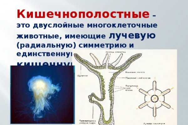 Кракен даркнет ссылка для тор
