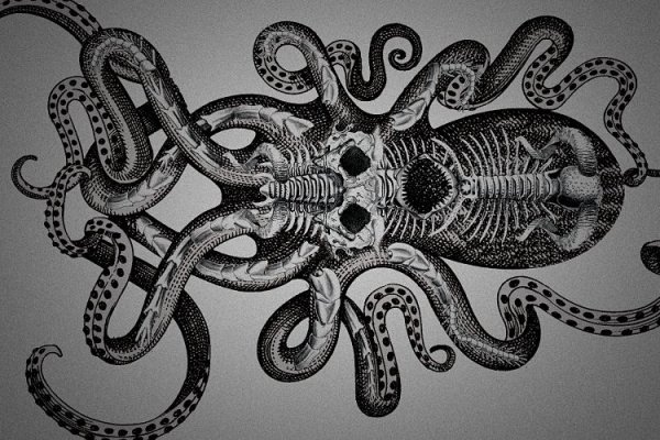 Ссылка на кракен onion kraken dark link