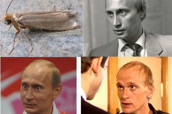 Kraken площадка
