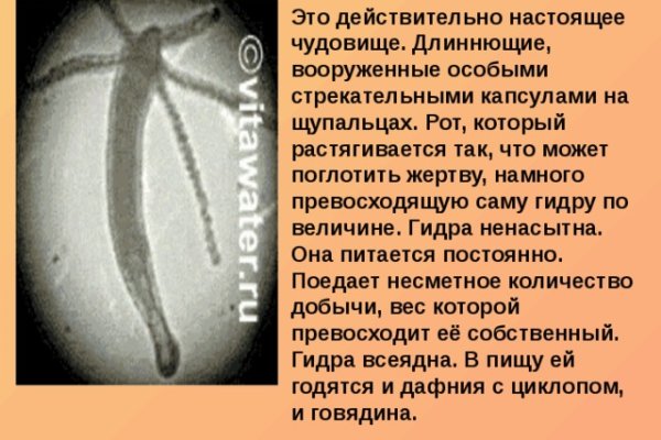 Kra30.cc