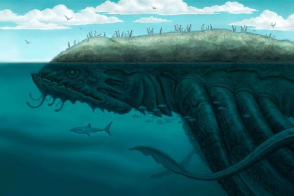 Kraken 20at net