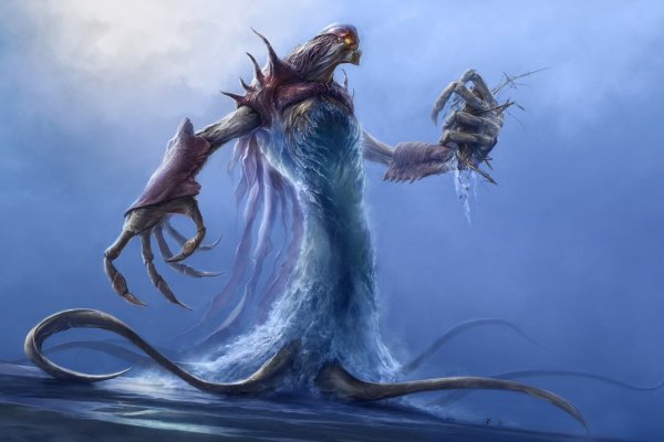 Kraken official
