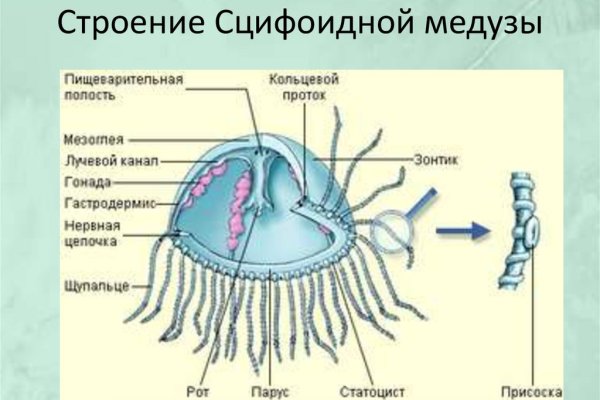 Kraken это современный маркетплейс