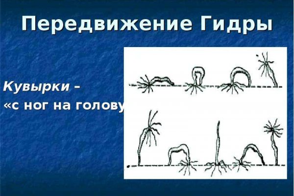Кракен тор ссылка онион