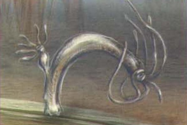 Kra31cc